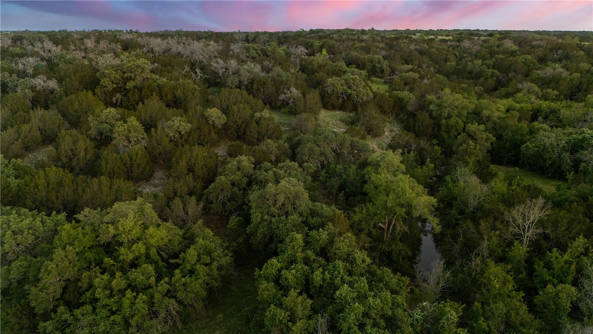 TBD Cr 133, Hico, Texas image 19