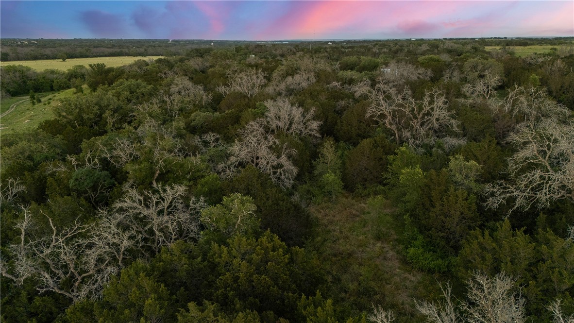 TBD Cr 133, Hico, Texas image 21