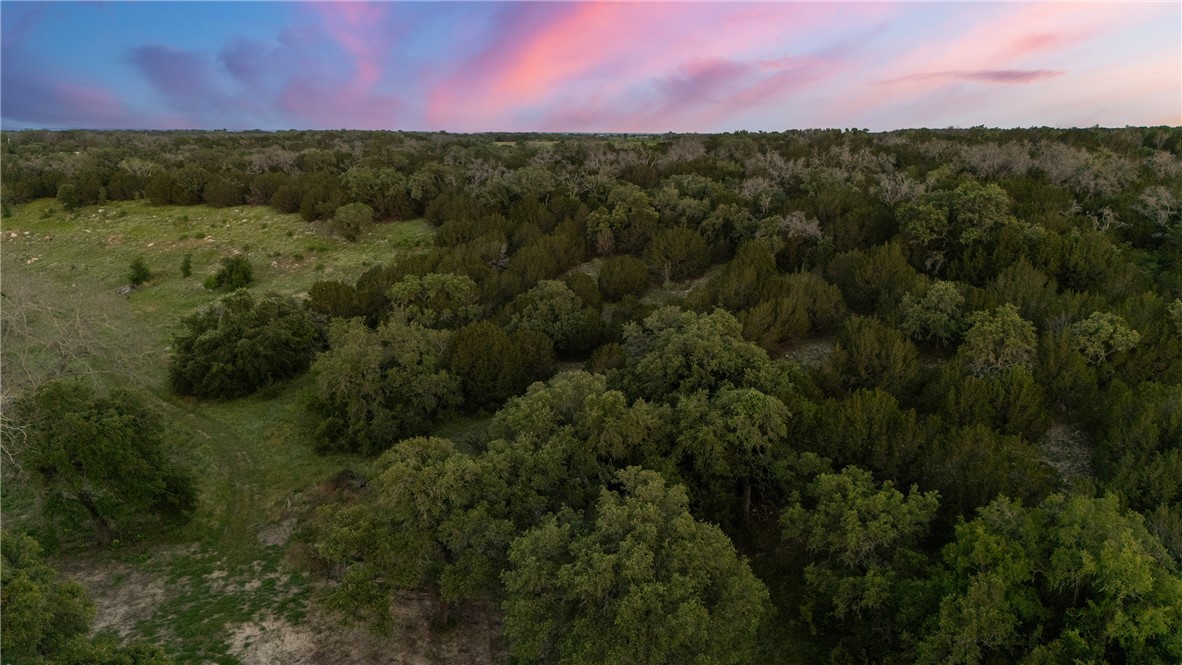 TBD Cr 133, Hico, Texas image 18