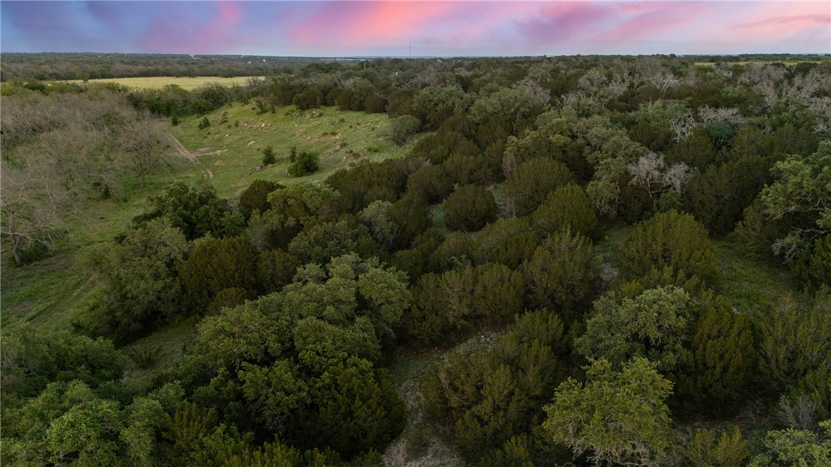 TBD Cr 133, Hico, Texas image 20