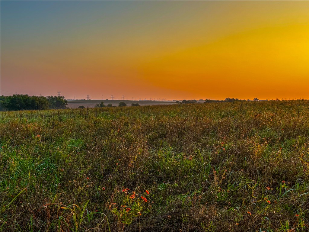 UNK Middle Road, Temple, Texas image 9