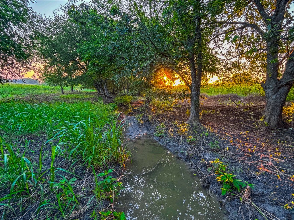 UNK Middle Road, Temple, Texas image 11