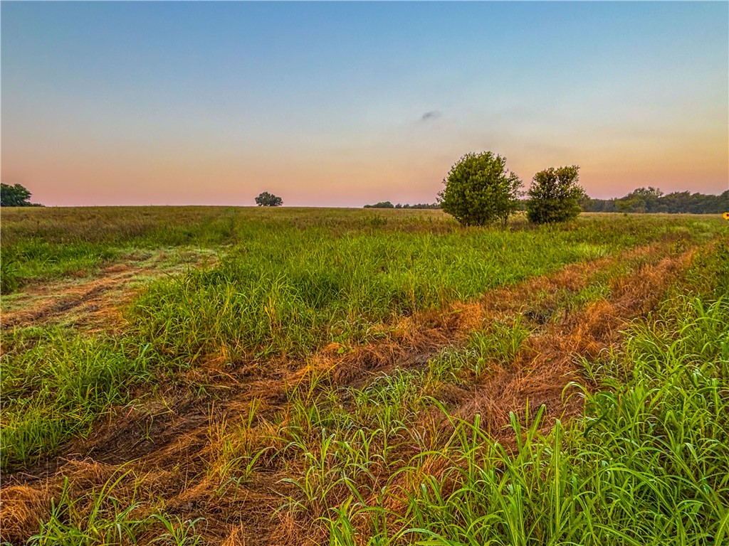 UNK Middle Road, Temple, Texas image 4