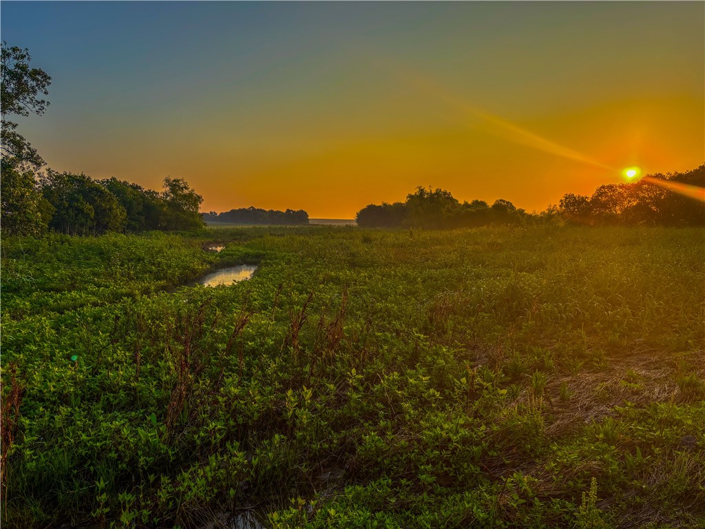 UNK Middle Road, Temple, Texas image 16