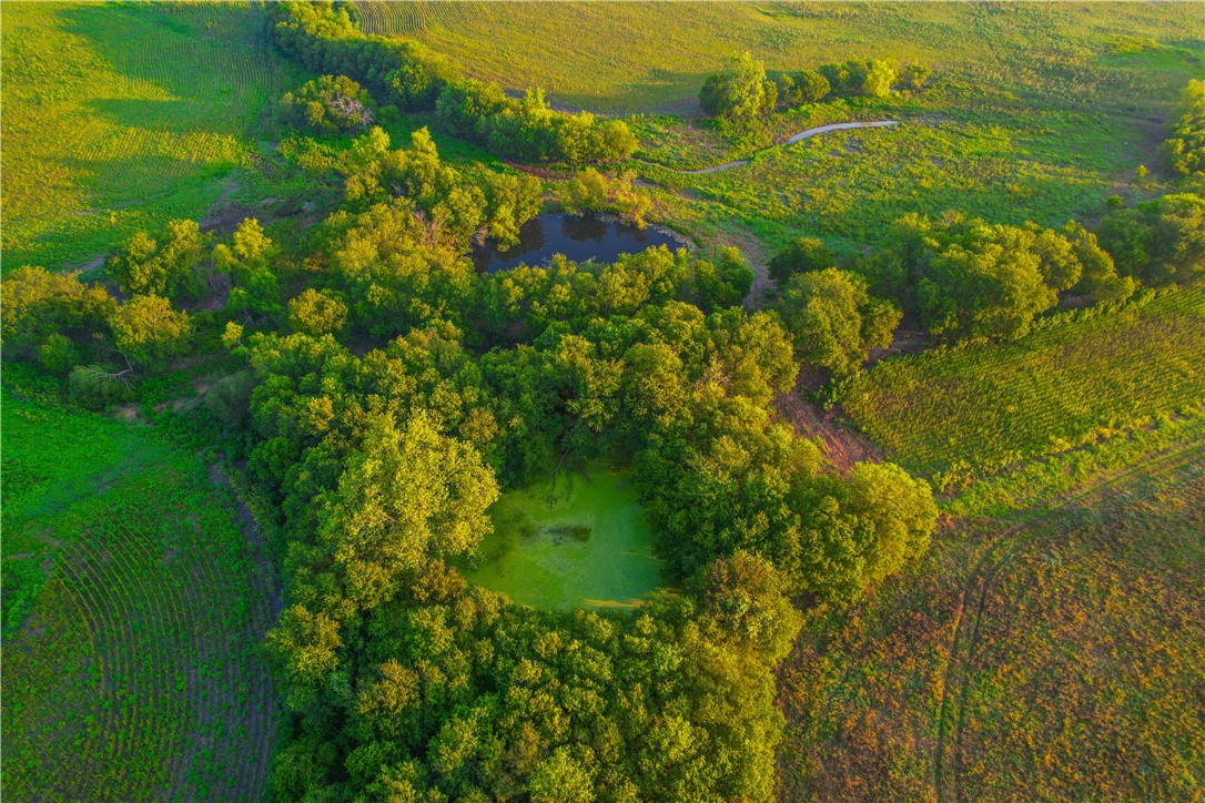 UNK Middle Road, Temple, Texas image 34