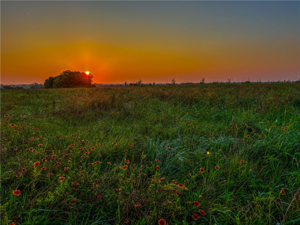 UNK Middle Road, Temple, Texas image 5