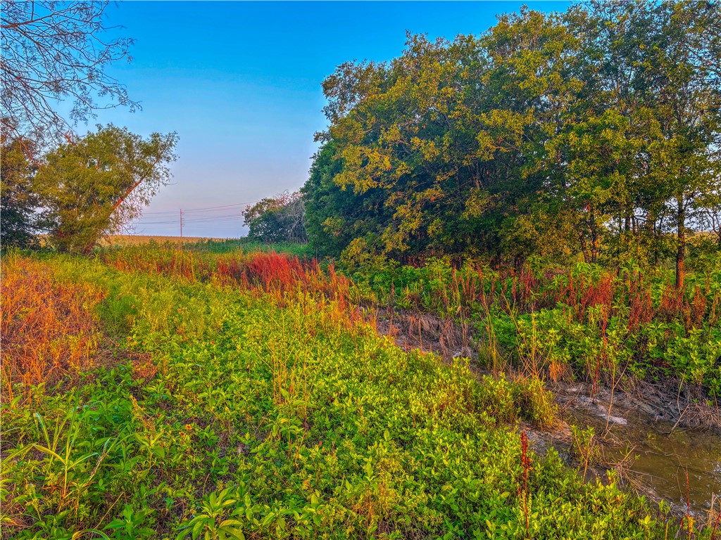 UNK Middle Road, Temple, Texas image 17