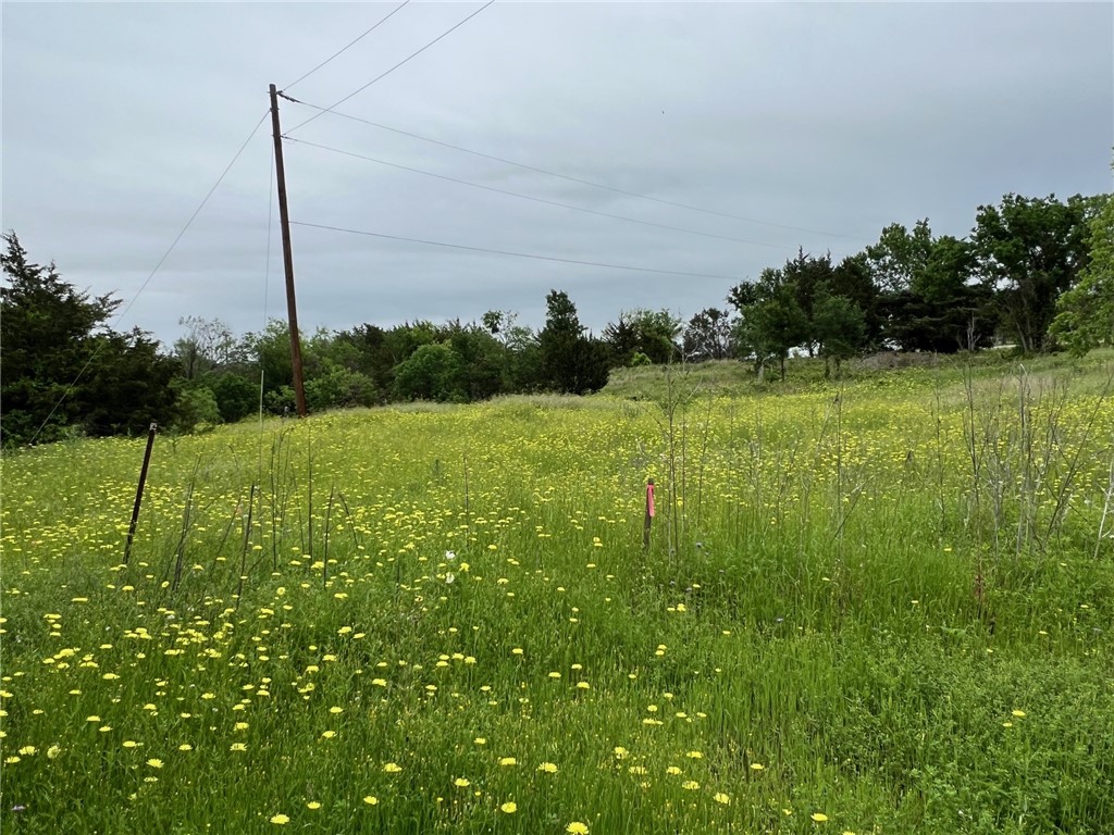 161 Suzanne Drive, Moody, Texas image 2