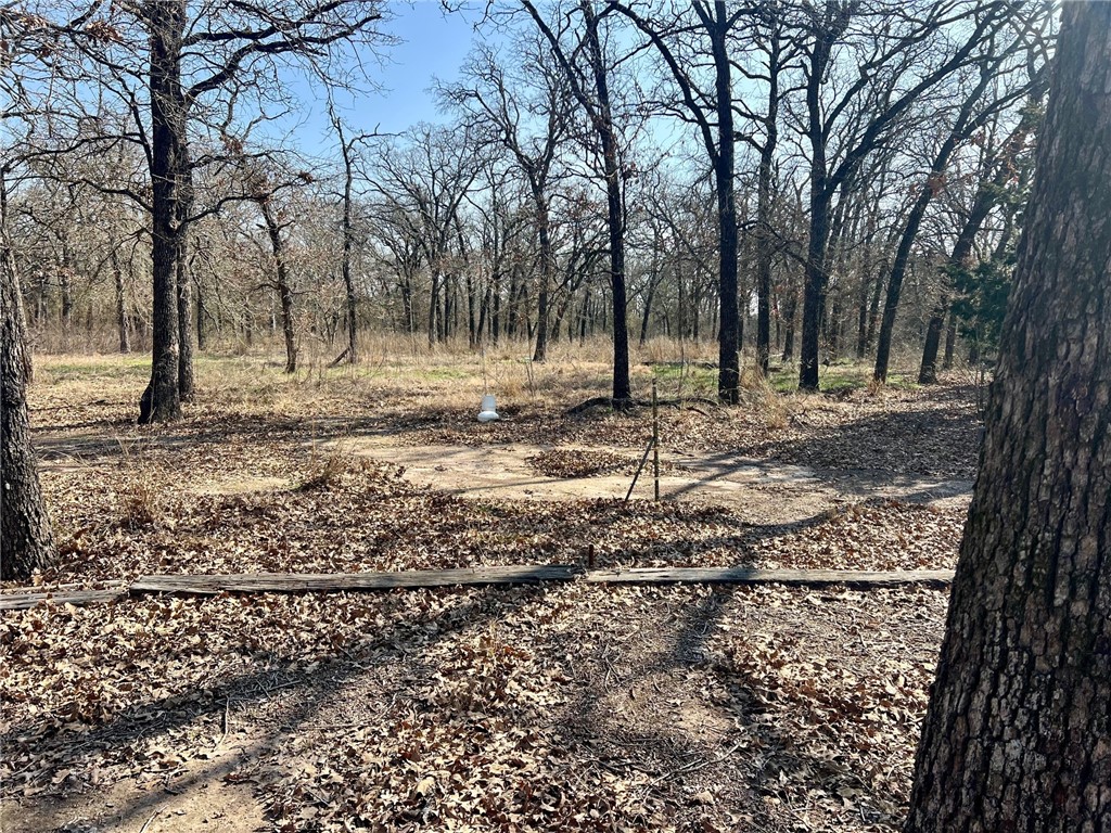 620 Cr 109 Road, Riesel, Texas image 5