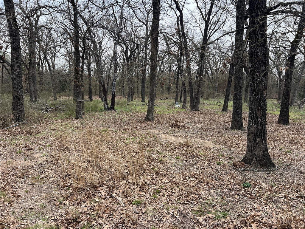 620 Cr 109 Road, Riesel, Texas image 15