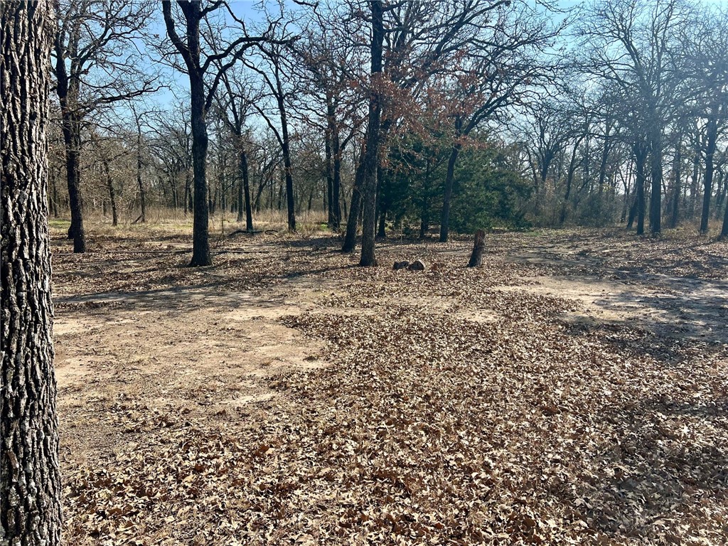 620 Cr 109 Road, Riesel, Texas image 3