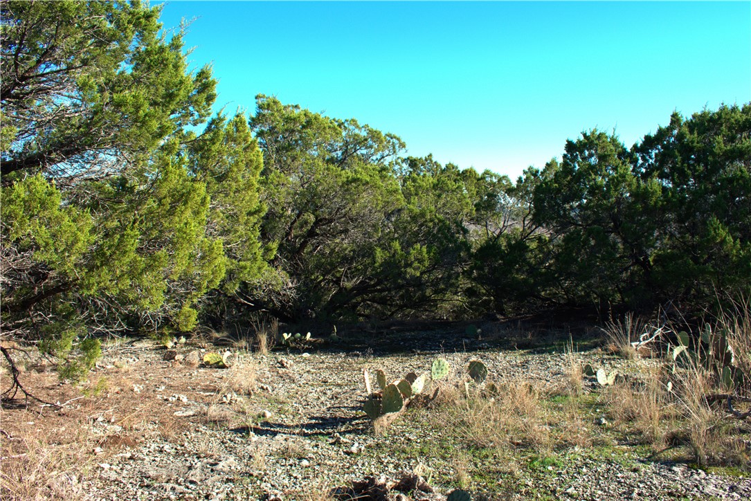 405 Pr 1212, Kopperl, Texas image 10