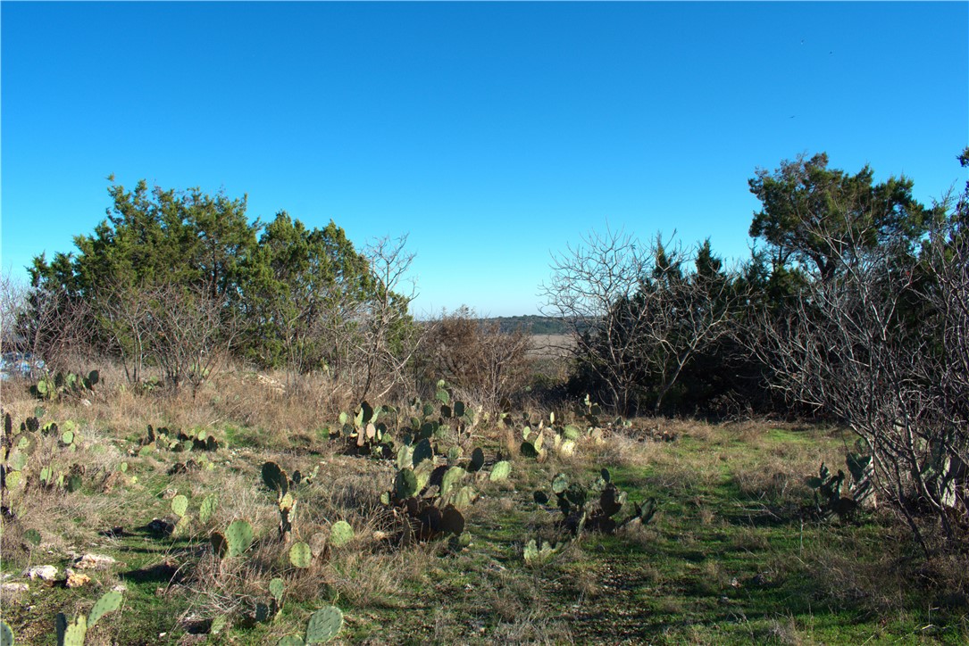 405 Pr 1212, Kopperl, Texas image 9