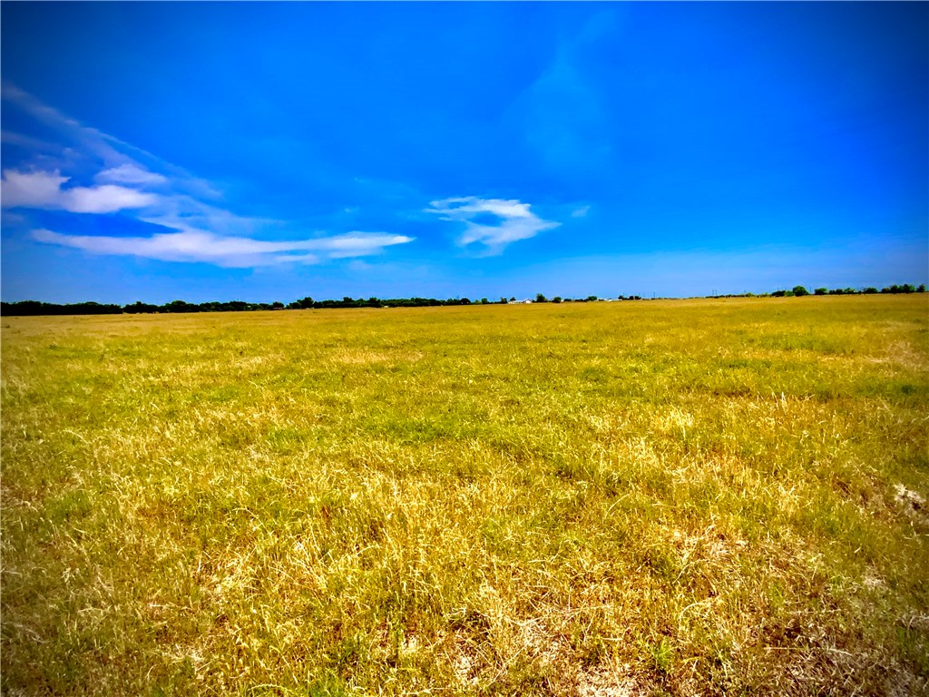 TBD- TRACT 4A Cr 137, Marlin, Texas image 3