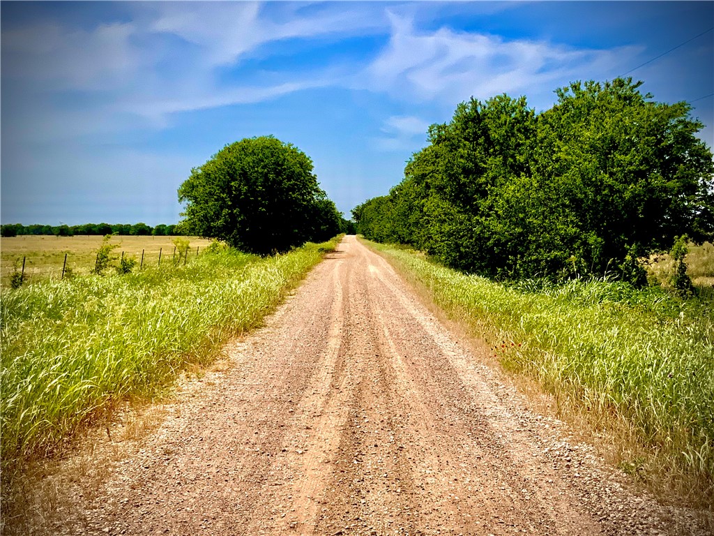 TBD- TRACT 4A Cr 137, Marlin, Texas image 1