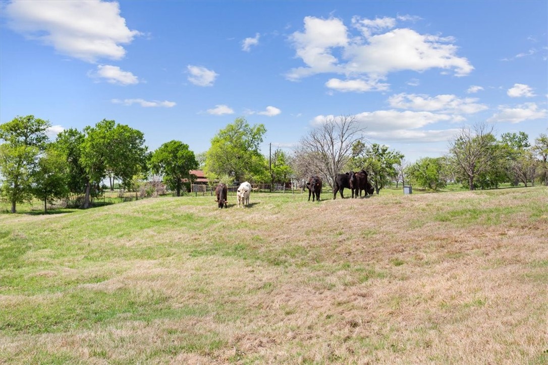 1576 Hcr 2302 S, Abbott, Texas image 41