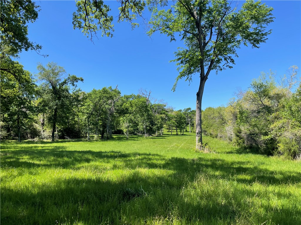 TBD Pr 5793b Road, Groesbeck, Texas image 9