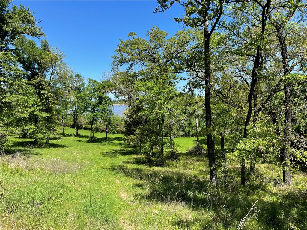 TBD Pr 5793b Road, Groesbeck, Texas image 12