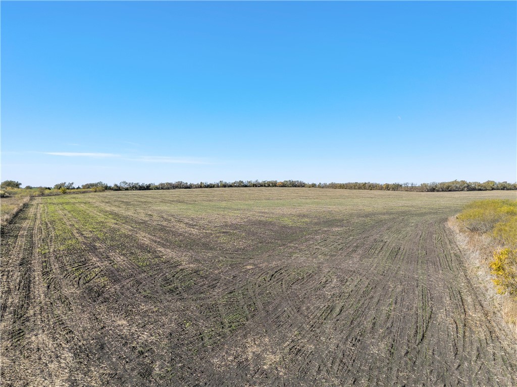 TBD Cr 142 Road, Riesel, Texas image 8