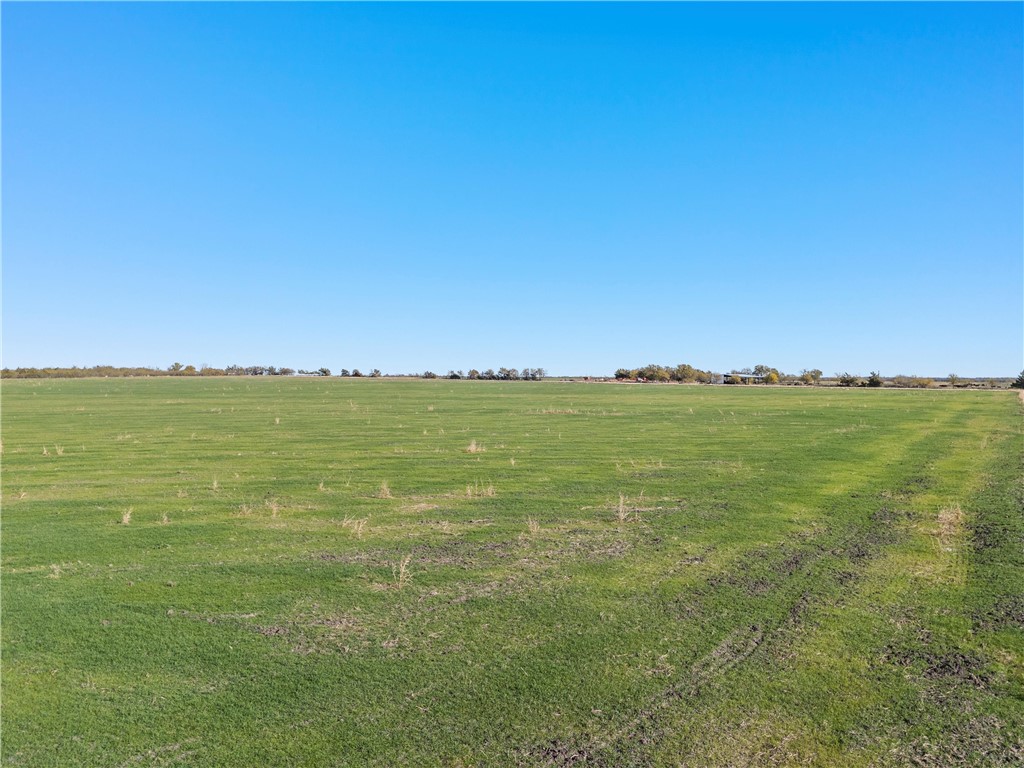 TBD Cr 142 Road, Riesel, Texas image 7