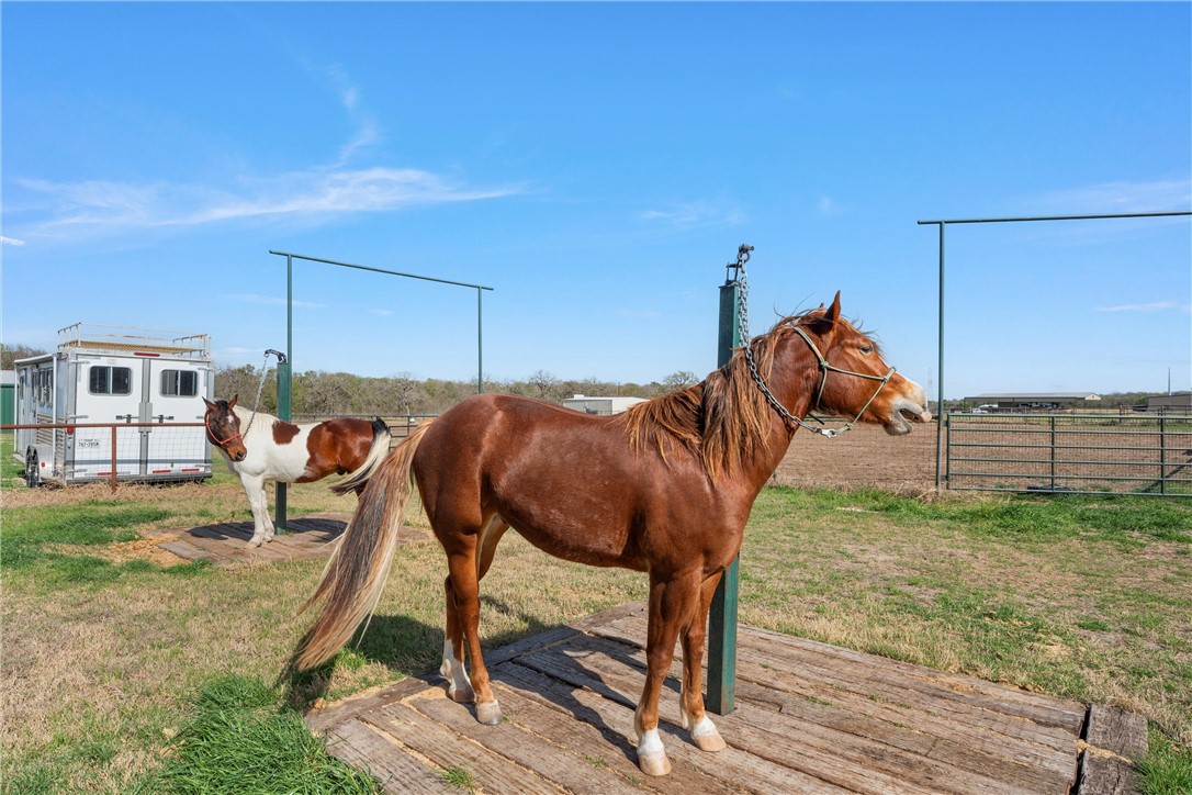 399 Satin Road, Chilton, Texas image 46