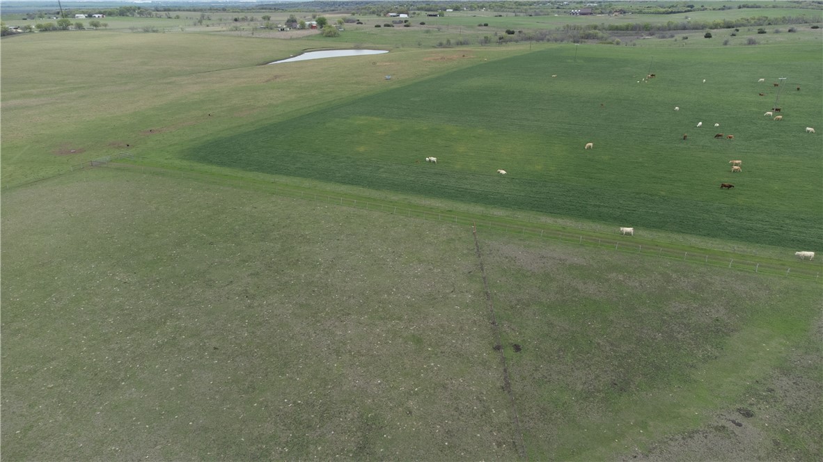 TBD Old Perry Loop, McGregor, Texas image 6