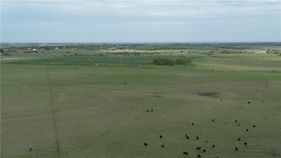 TBD Old Perry Loop, McGregor, Texas image 27