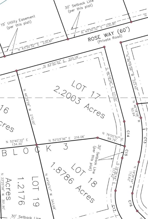 Lot 17 Rose Way Drive, Aquilla, Texas image 4
