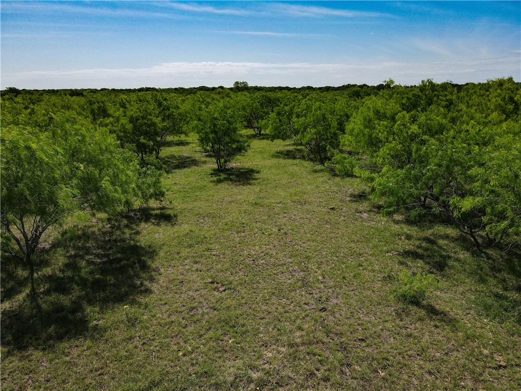 0000 Cr 4120 Road, Dawson, Texas image 5