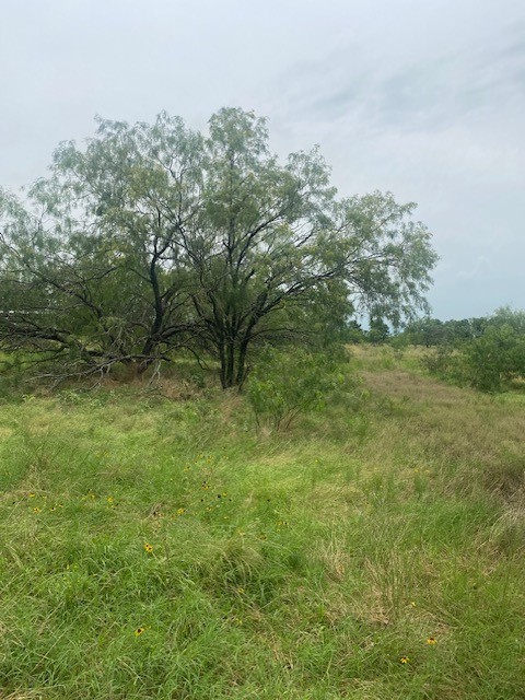 469 Cr 159, Riesel, Texas image 9