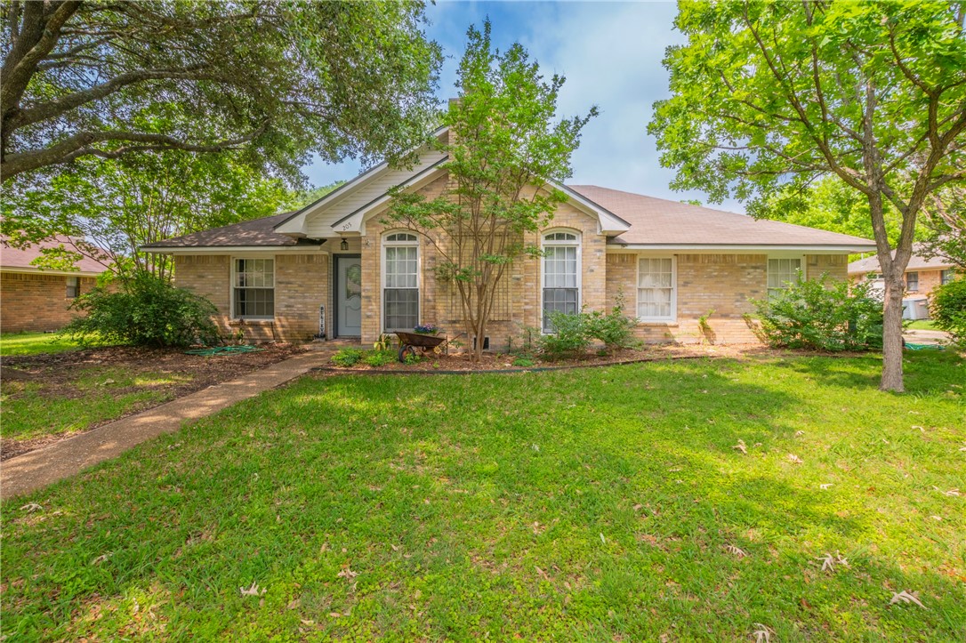 205 Bonham Drive, Hewitt, Texas image 1