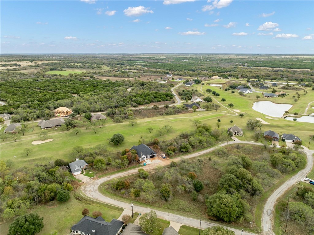 24171 Stonewood Drive, Whitney, Texas image 6