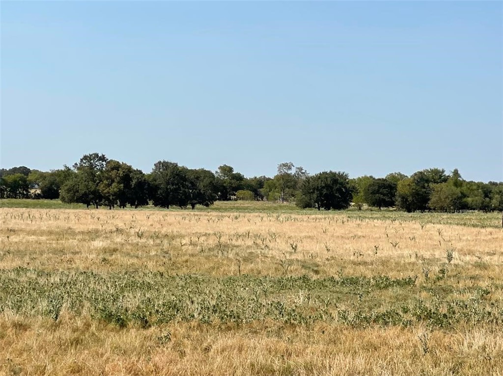 TBD Hwy 7 Highway, Marlin, Texas image 3