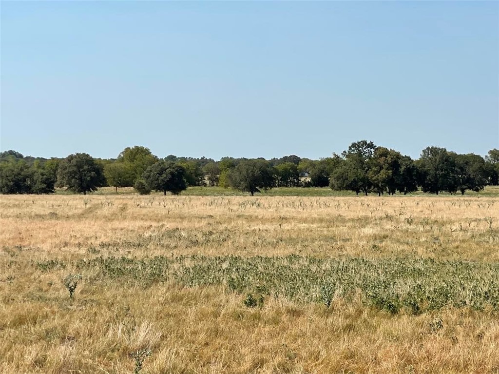 TBD Hwy 7 Highway, Marlin, Texas image 4