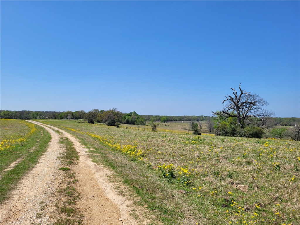 185.80 Ac Lcr 866, Donie, Texas image 21