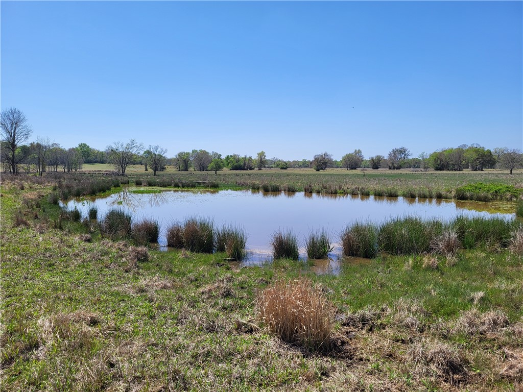 185.80 Ac Lcr 866, Donie, Texas image 20