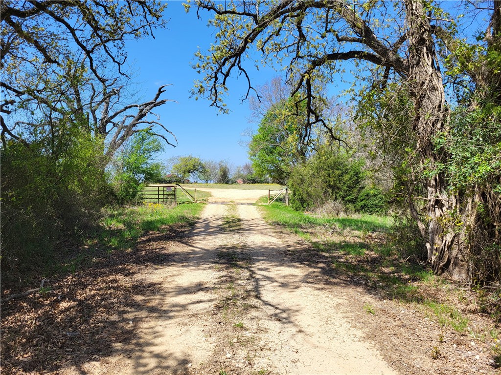 185.80 Ac Lcr 866, Donie, Texas image 2