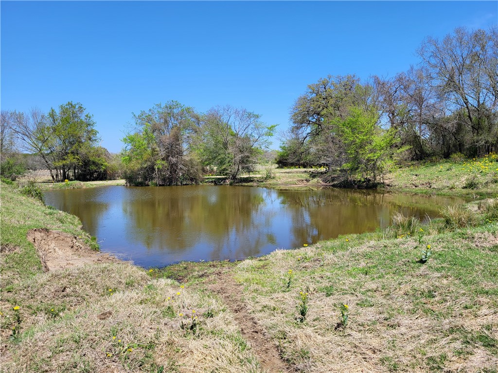 185.80 Ac Lcr 866, Donie, Texas image 26