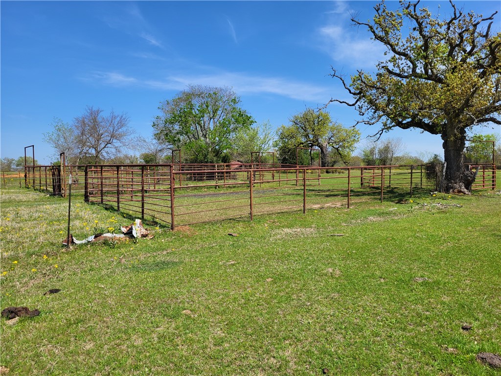 185.80 Ac Lcr 866, Donie, Texas image 10