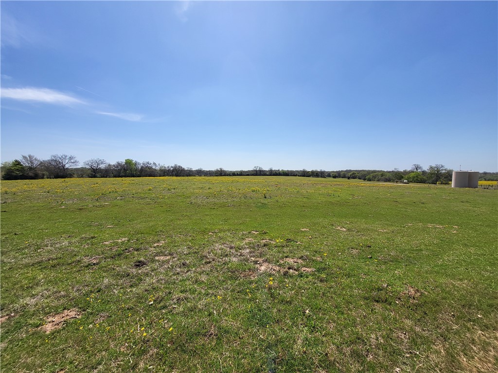 185.80 Ac Lcr 866, Donie, Texas image 7