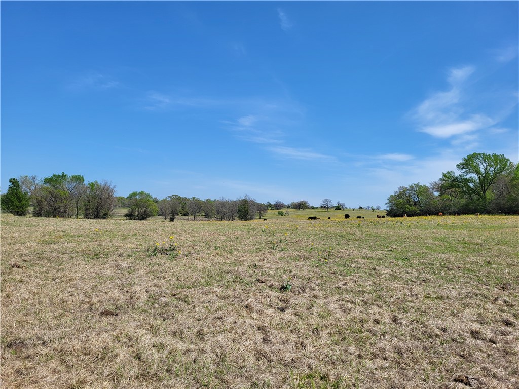 185.80 Ac Lcr 866, Donie, Texas image 25