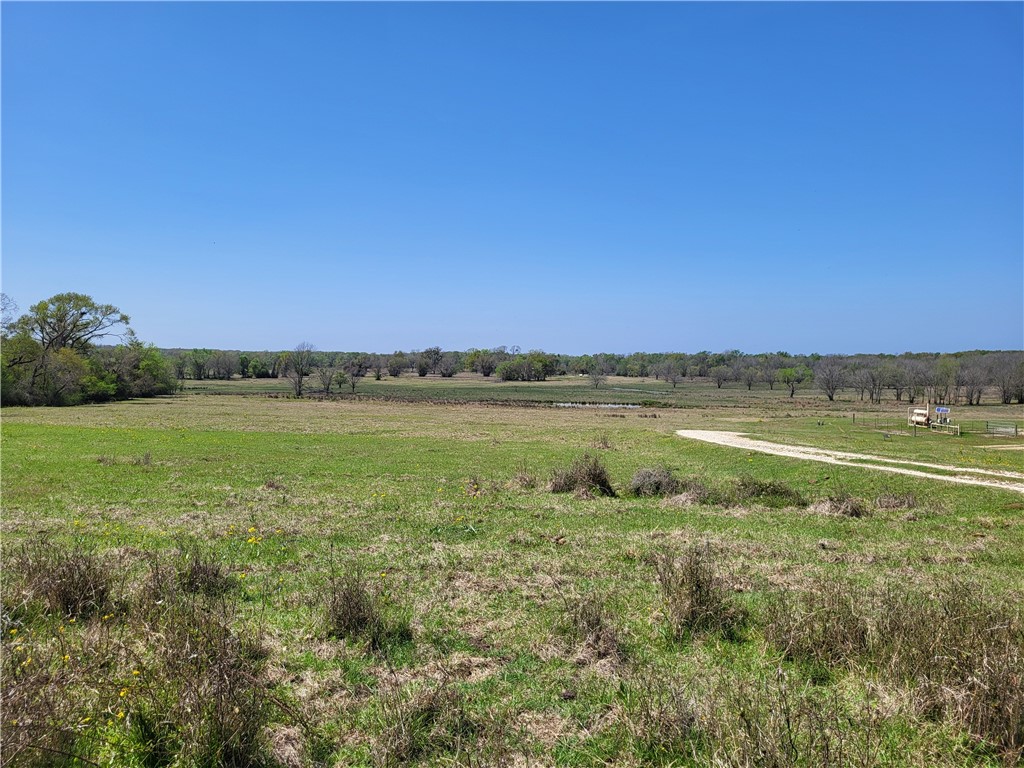 185.80 Ac Lcr 866, Donie, Texas image 16