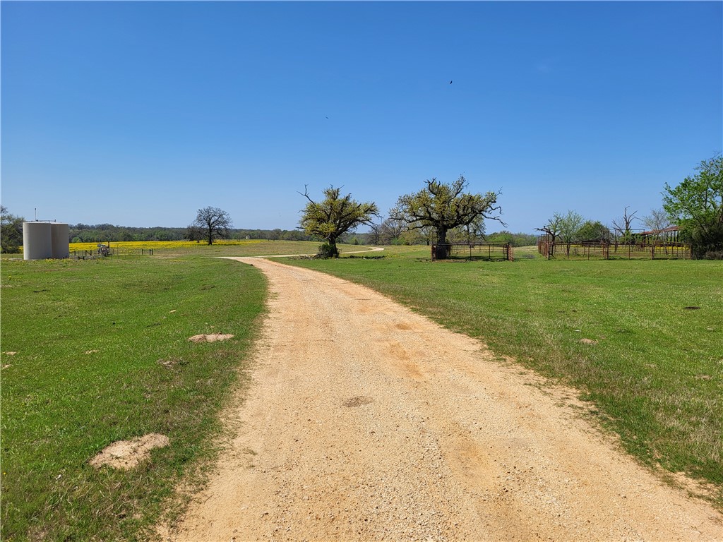 185.80 Ac Lcr 866, Donie, Texas image 5