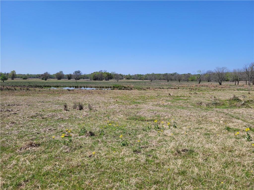 185.80 Ac Lcr 866, Donie, Texas image 19