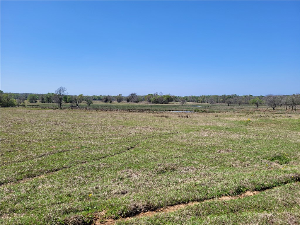 185.80 Ac Lcr 866, Donie, Texas image 18