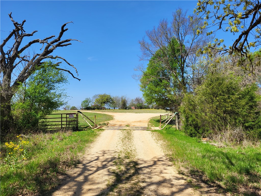 185.80 Ac Lcr 866, Donie, Texas image 3
