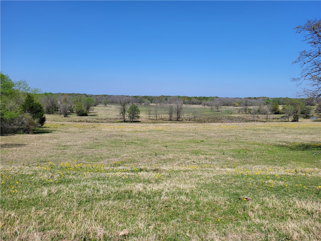 185.80 Ac Lcr 866, Donie, Texas image 23