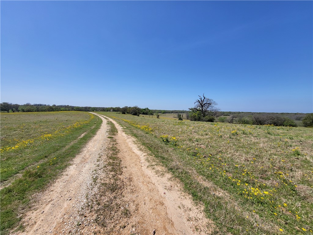 185.80 Ac Lcr 866, Donie, Texas image 22
