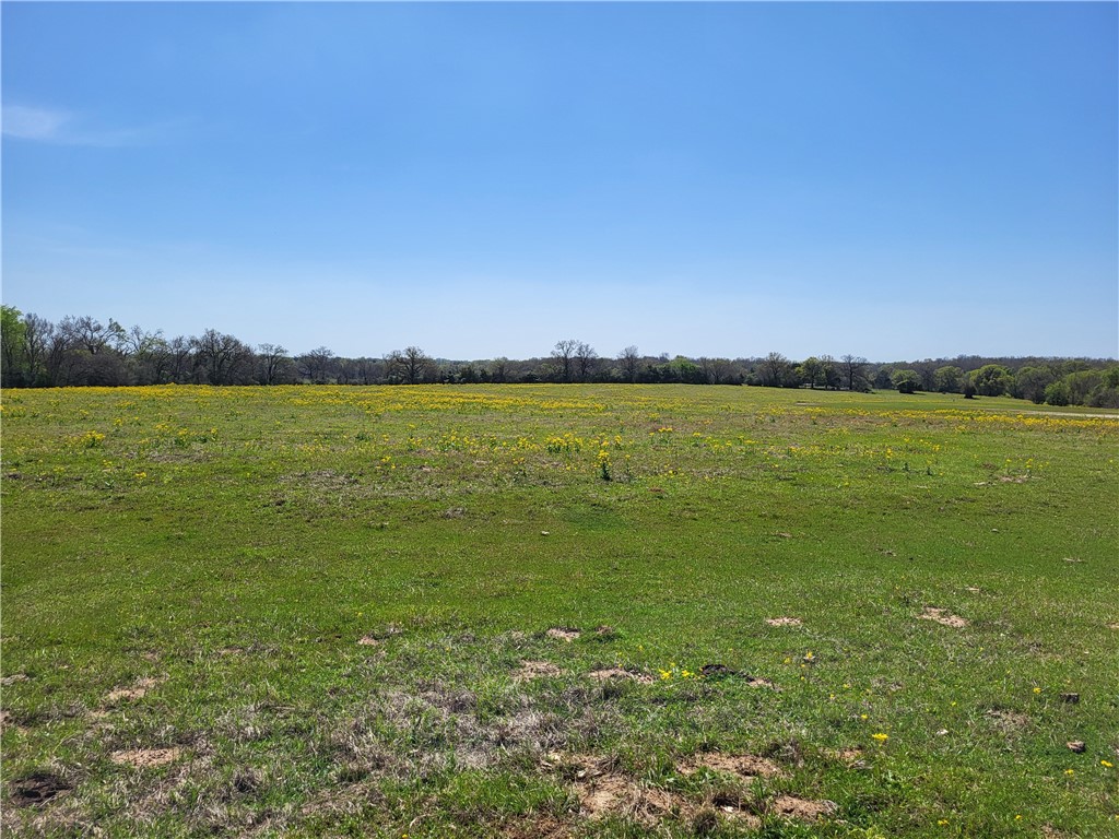 185.80 Ac Lcr 866, Donie, Texas image 8