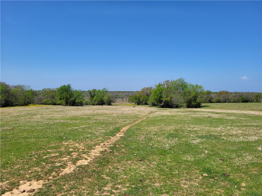 185.80 Ac Lcr 866, Donie, Texas image 12